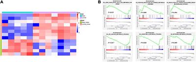 Integrative Transcriptomic, Lipidomic, and Metabolomic Analysis Reveals Potential Biomarkers of Basal and Luminal Muscle Invasive Bladder Cancer Subtypes